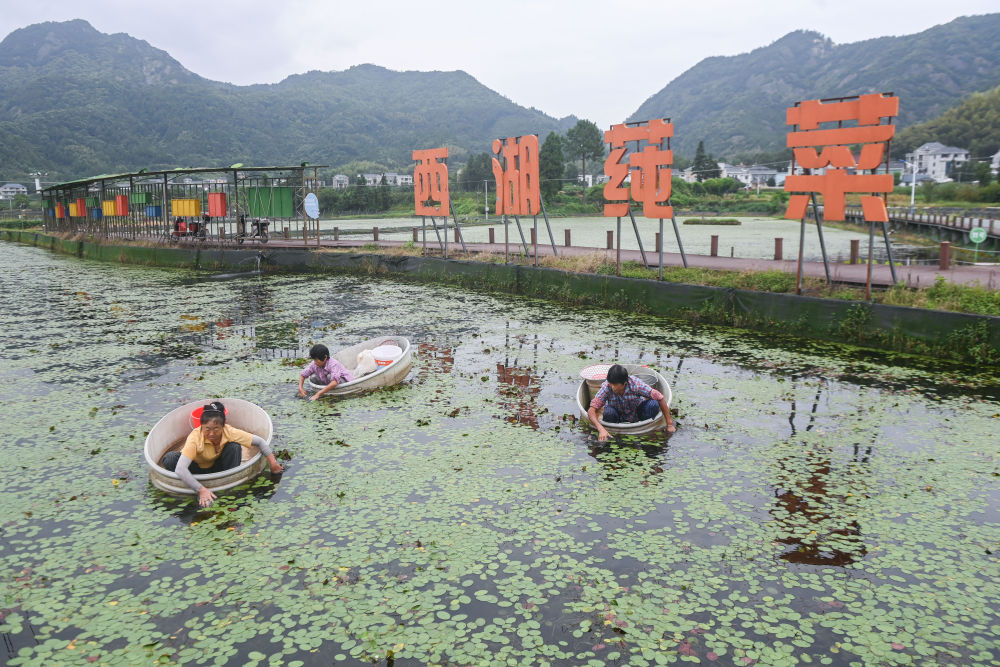 中国式现代化的先行者——从杭州亚运会看浙江跑出高质量发展加速度