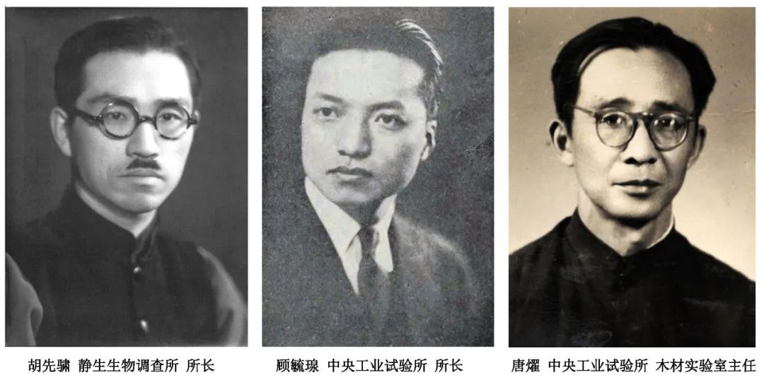 《中国林科院木材所早期史》首发