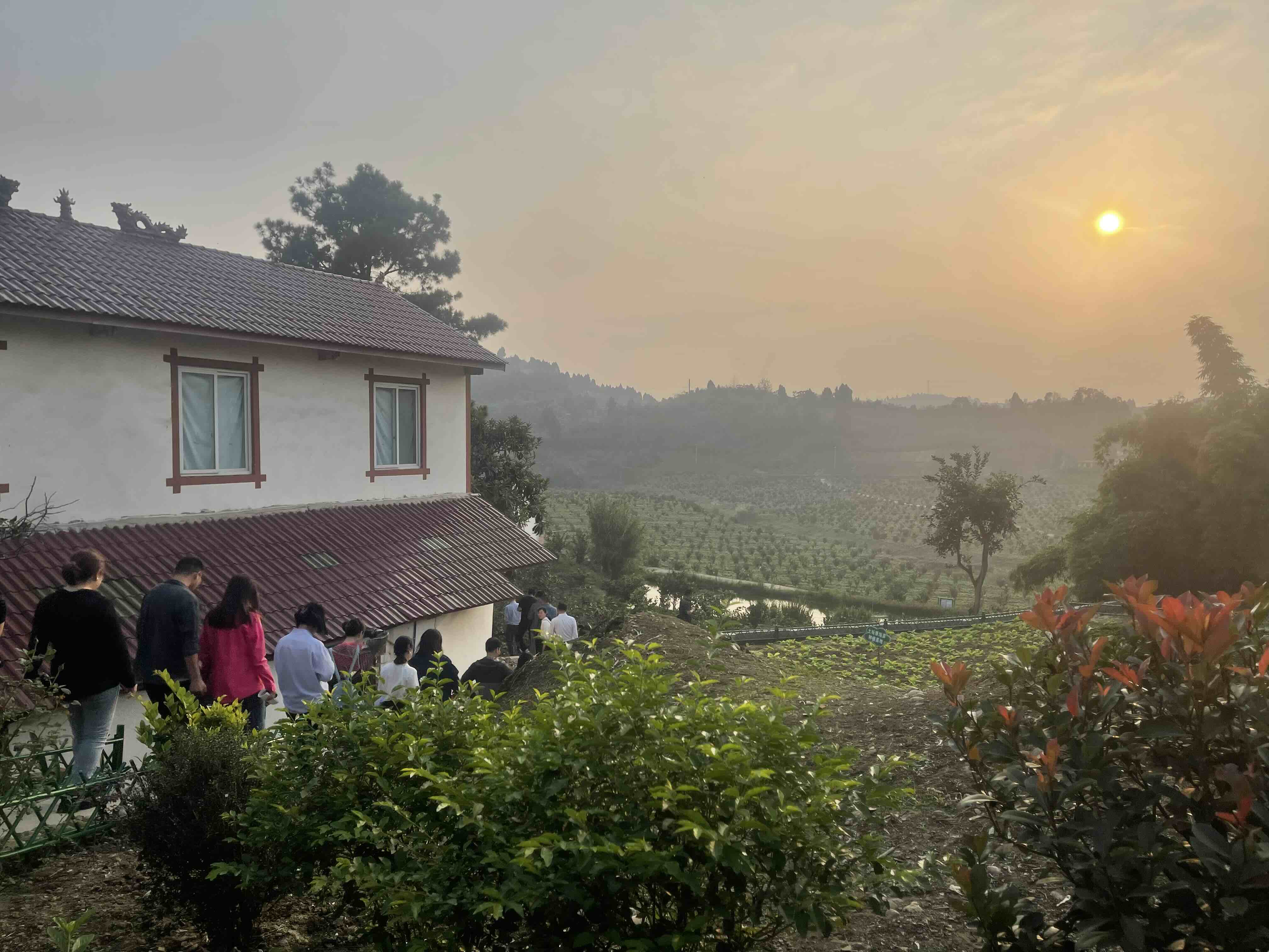 高质量发展调研行丨内江市岗石村：让农村院落有“颜值” 村民生活有“滋味”