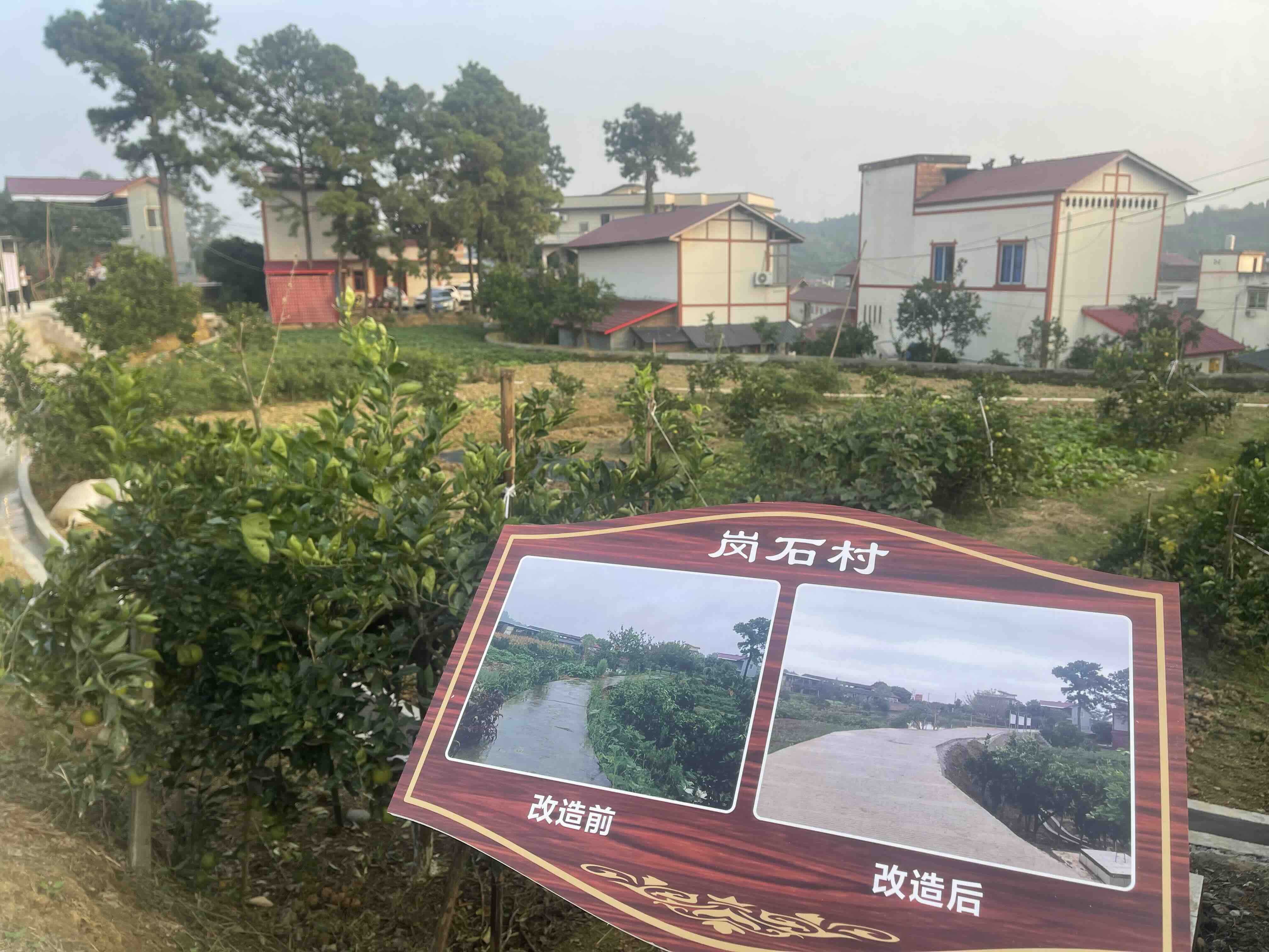 高质量发展调研行丨内江市岗石村：让农村院落有“颜值” 村民生活有“滋味”