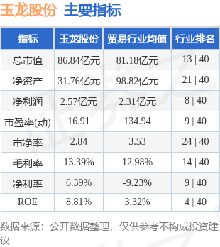 玉龙股份（601028）10月18日13点0分触及涨停板