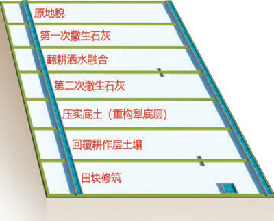 丰裕村喜迎丰收年（深阅读）