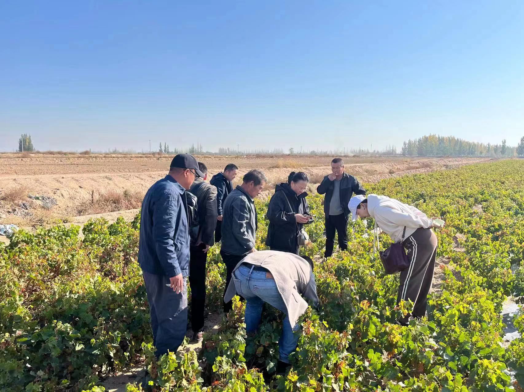 招首席专家！宁夏贺兰山东麓葡萄酒产区发出“英雄帖”