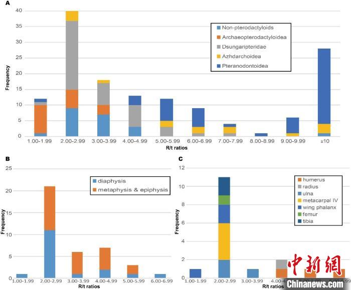 中国热河生物群发现翼龙新属种 华北克拉通翼龙研究挑战多项传统认知