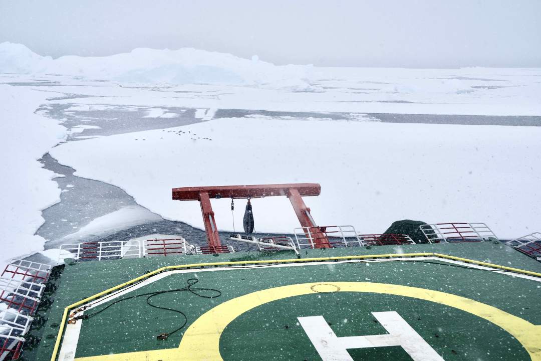 南极中山站区域卸货作业风雪中进行